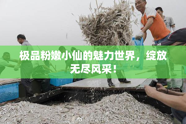 极品粉嫩小仙的魅力世界，绽放无尽风采！