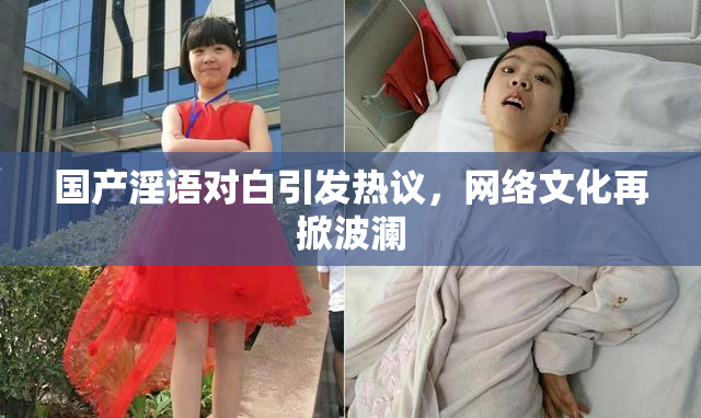 国产淫语对白引发热议，网络文化再掀波澜