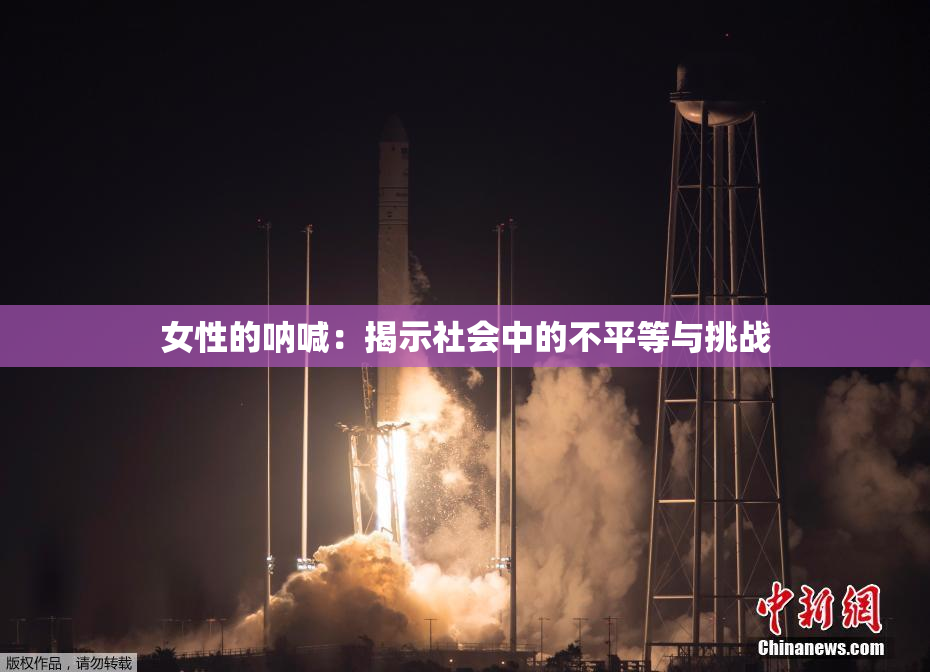 女性的呐喊：揭示社会中的不平等与挑战