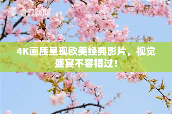 4K画质呈现欧美经典影片，视觉盛宴不容错过！