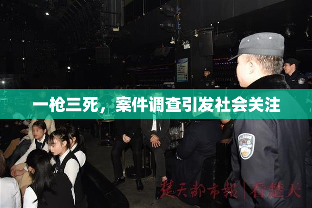 一枪三死，案件调查引发社会关注