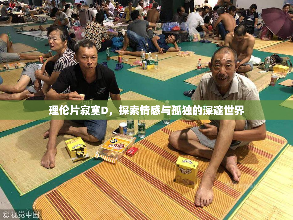 理伦片寂寞D，探索情感与孤独的深邃世界