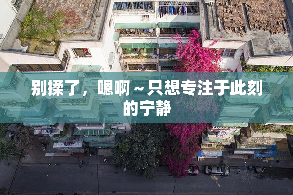 别揉了，嗯啊～只想专注于此刻的宁静