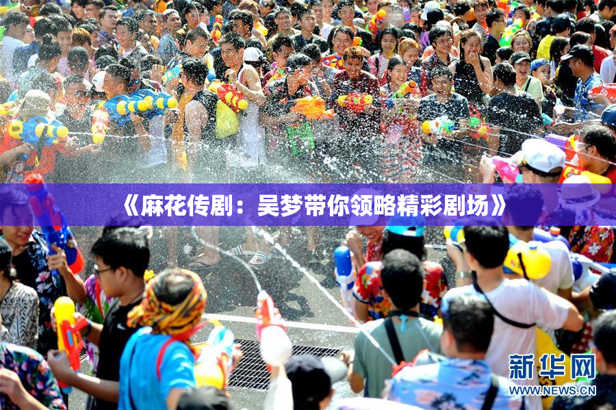《麻花传剧：吴梦带你领略精彩剧场》