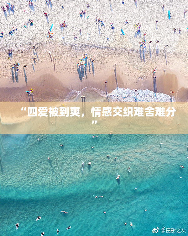 “四爱被到爽，情感交织难舍难分”