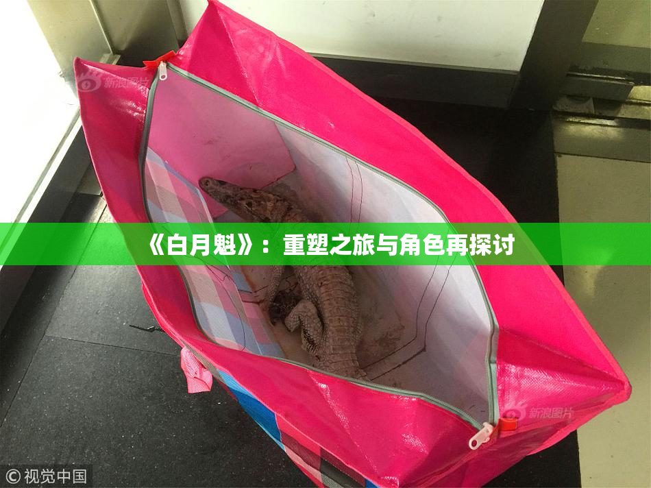 《白月魁》：重塑之旅与角色再探讨
