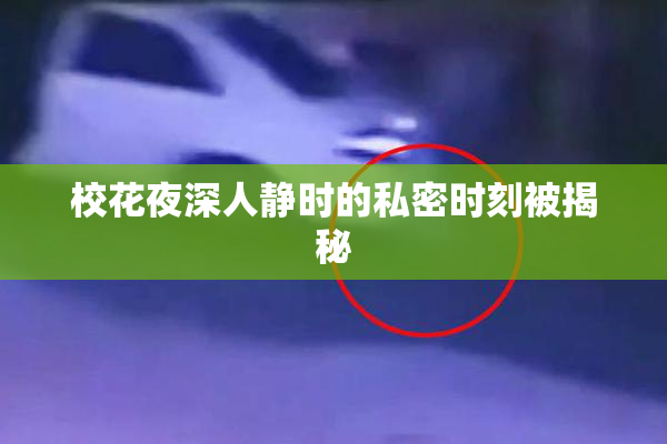 校花夜深人静时的私密时刻被揭秘