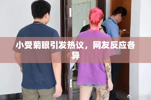 小受菊眼引发热议，网友反应各异