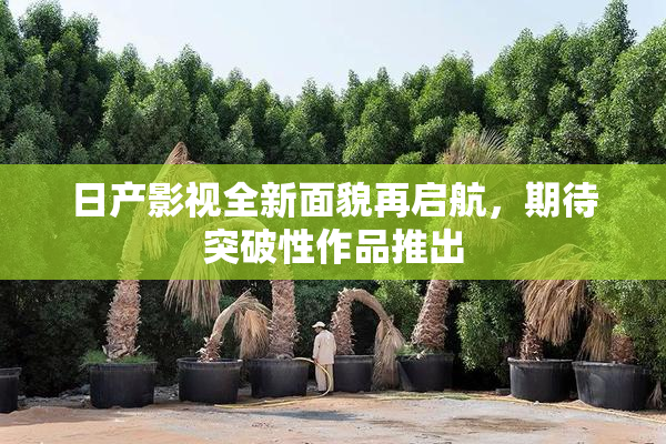 日产影视全新面貌再启航，期待突破性作品推出