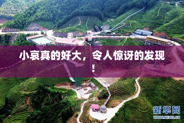 小哀真的好大，令人惊讶的发现！