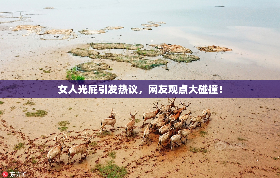 女人光屁引发热议，网友观点大碰撞！