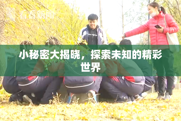 小秘密大揭晓，探索未知的精彩世界