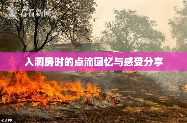 入洞房时的点滴回忆与感受分享