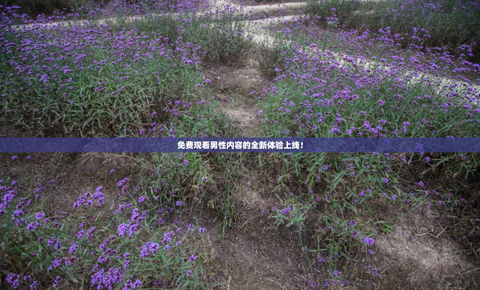免费观看男性内容的全新体验上线！