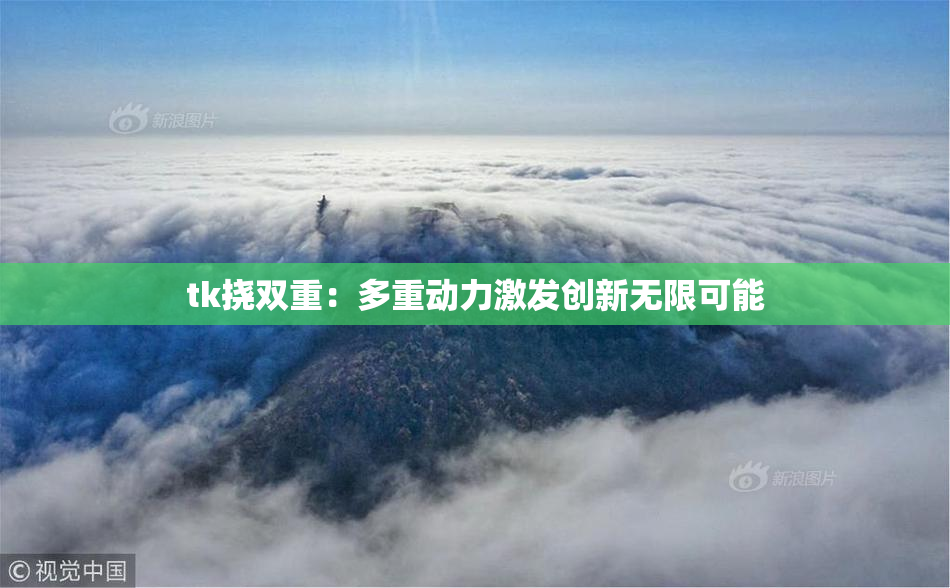 tk挠双重：多重动力激发创新无限可能