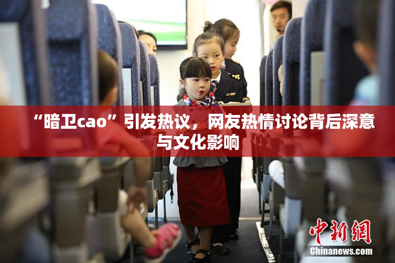 “暗卫cao”引发热议，网友热情讨论背后深意与文化影响
