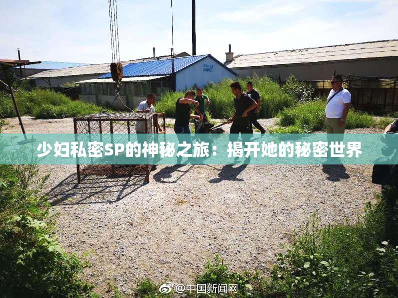 少妇私密SP的神秘之旅：揭开她的秘密世界