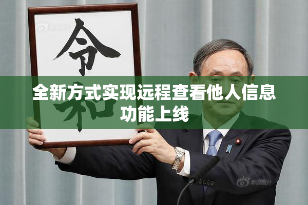 全新方式实现远程查看他人信息功能上线