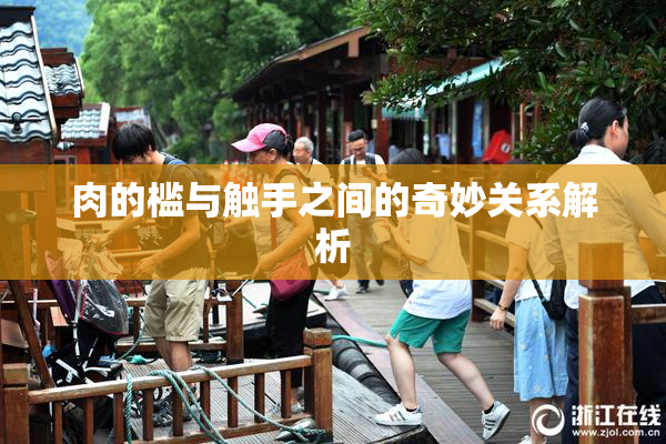肉的槛与触手之间的奇妙关系解析