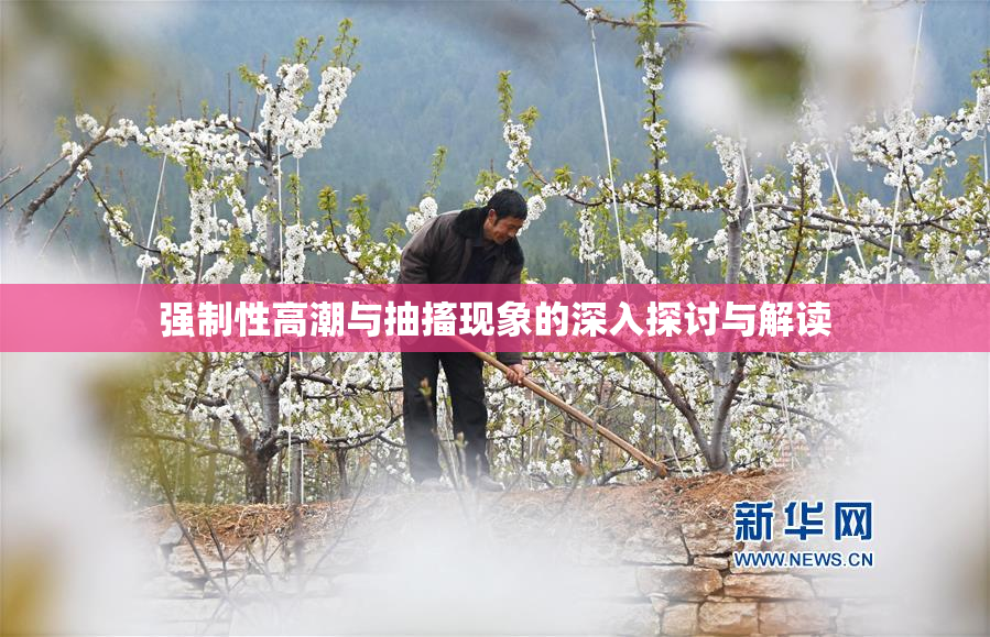 强制性高潮与抽搐现象的深入探讨与解读