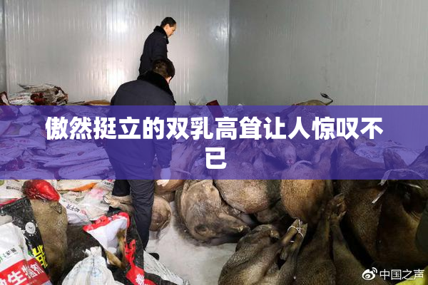 傲然挺立的双乳高耸让人惊叹不已