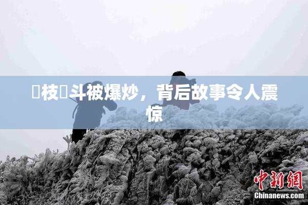狛枝凪斗被爆炒，背后故事令人震惊