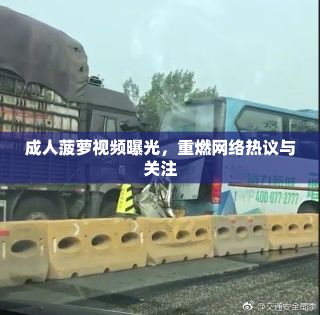 成人菠萝视频曝光，重燃网络热议与关注