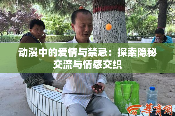 动漫中的爱情与禁忌：探索隐秘交流与情感交织