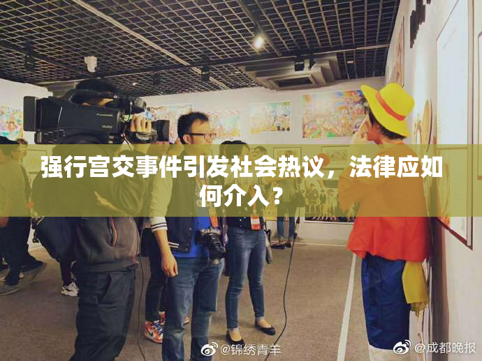 强行宫交事件引发社会热议，法律应如何介入？