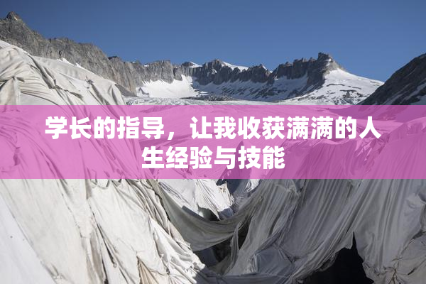 学长的指导，让我收获满满的人生经验与技能