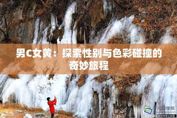 男C女黄：探索性别与色彩碰撞的奇妙旅程