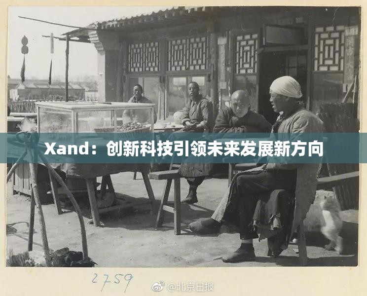 Xand：创新科技引领未来发展新方向