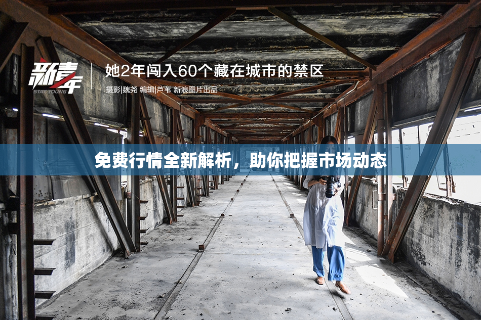 免费行情全新解析，助你把握市场动态