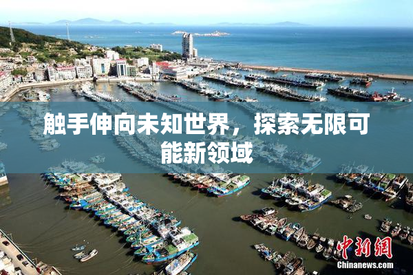 触手伸向未知世界，探索无限可能新领域