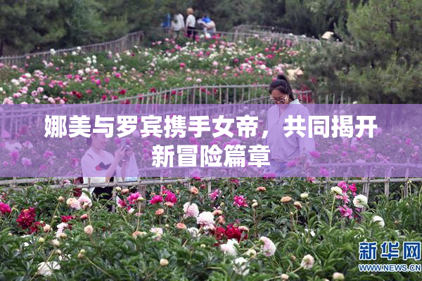 娜美与罗宾携手女帝，共同揭开新冒险篇章