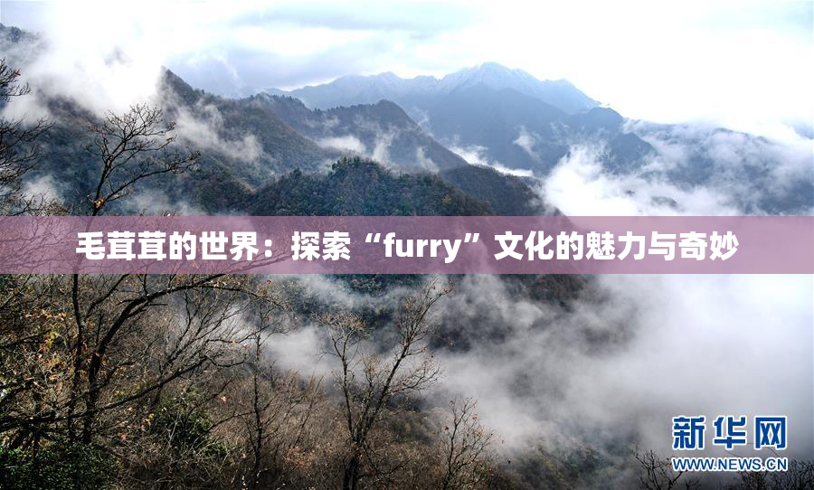 毛茸茸的世界：探索“furry”文化的魅力与奇妙