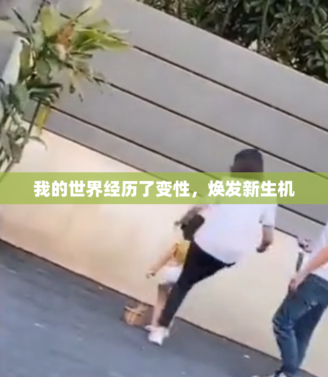 我的世界经历了变性，焕发新生机