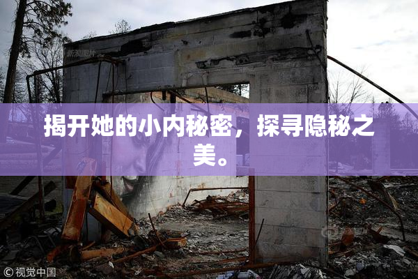 揭开她的小内秘密，探寻隐秘之美。