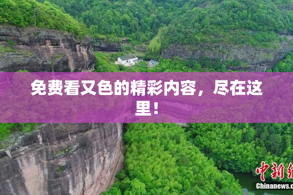 免费看又色的精彩内容，尽在这里！