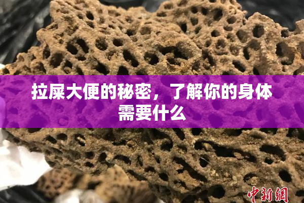 拉屎大便的秘密，了解你的身体需要什么