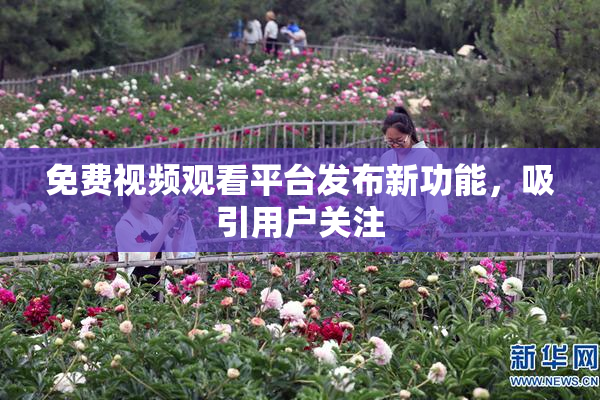 免费视频观看平台发布新功能，吸引用户关注