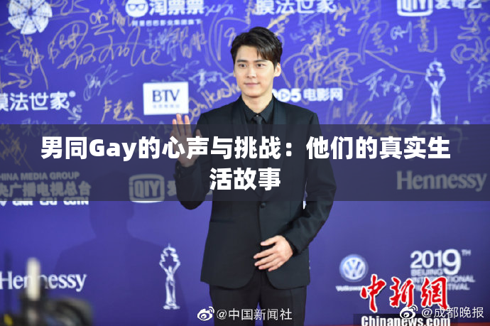 男同Gay的心声与挑战：他们的真实生活故事