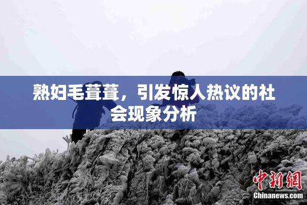 熟妇毛葺葺，引发惊人热议的社会现象分析