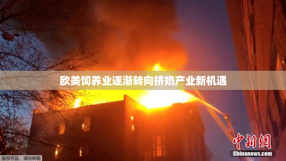 欧美饲养业逐渐转向挤奶产业新机遇