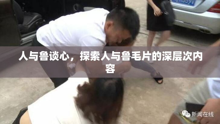 人与鲁谈心，探索人与鲁毛片的深层次内容