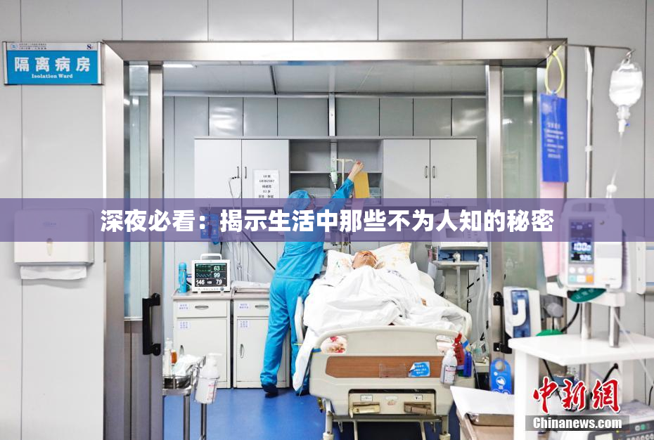 深夜必看：揭示生活中那些不为人知的秘密