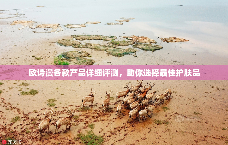 欧诗漫各款产品详细评测，助你选择最佳护肤品