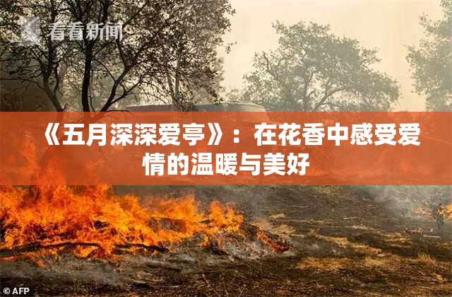 《五月深深爱亭》：在花香中感受爱情的温暖与美好