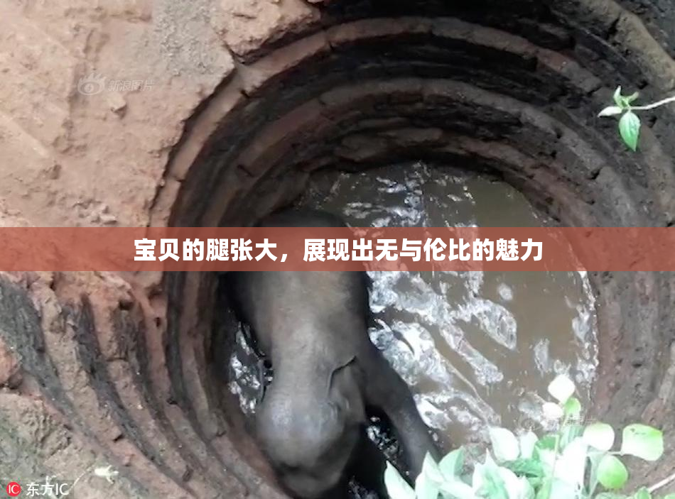宝贝的腿张大，展现出无与伦比的魅力