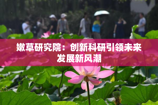 嫩草研究院：创新科研引领未来发展新风潮